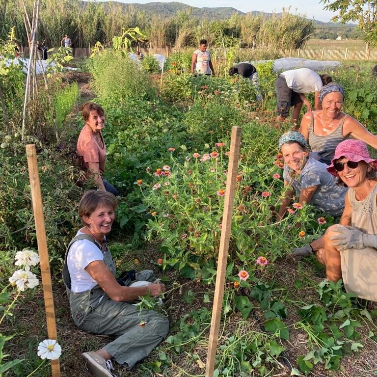 Participation Jardinage