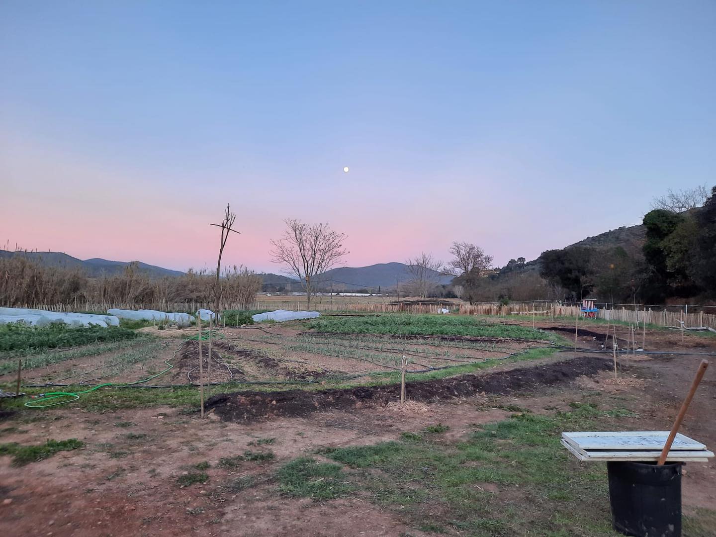 Le Mandala de permaculture, plus qu’une simple technique agricole?